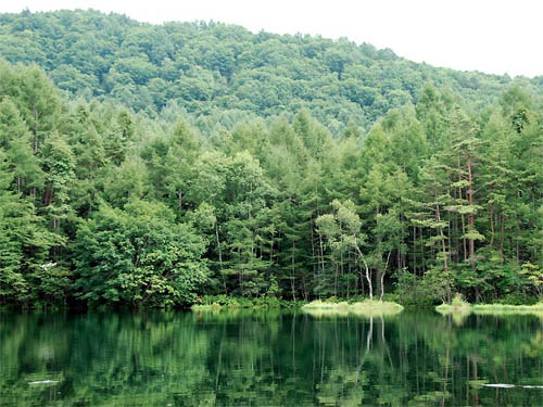 Mishakaike Pond Nagano