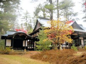 Takamine Pine Maple Palace