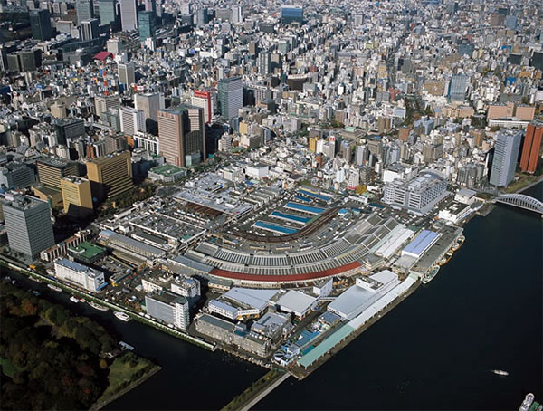 Sports stadium and mall likely to replace old Tsukiji fish market